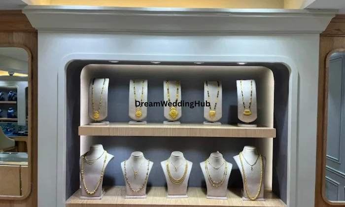 Senco Gold  Diamonds  Noida